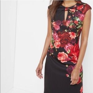 Ted Baker Dress Mirrie Juxtapose Rose Midi Sheath in Black Red Floral